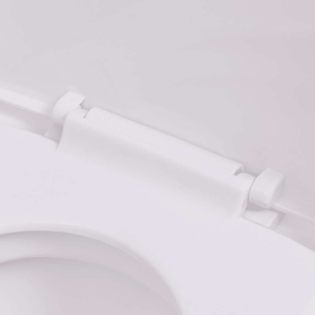 WC a Muro con Sciacquone Nascosto in Ceramica Bianco