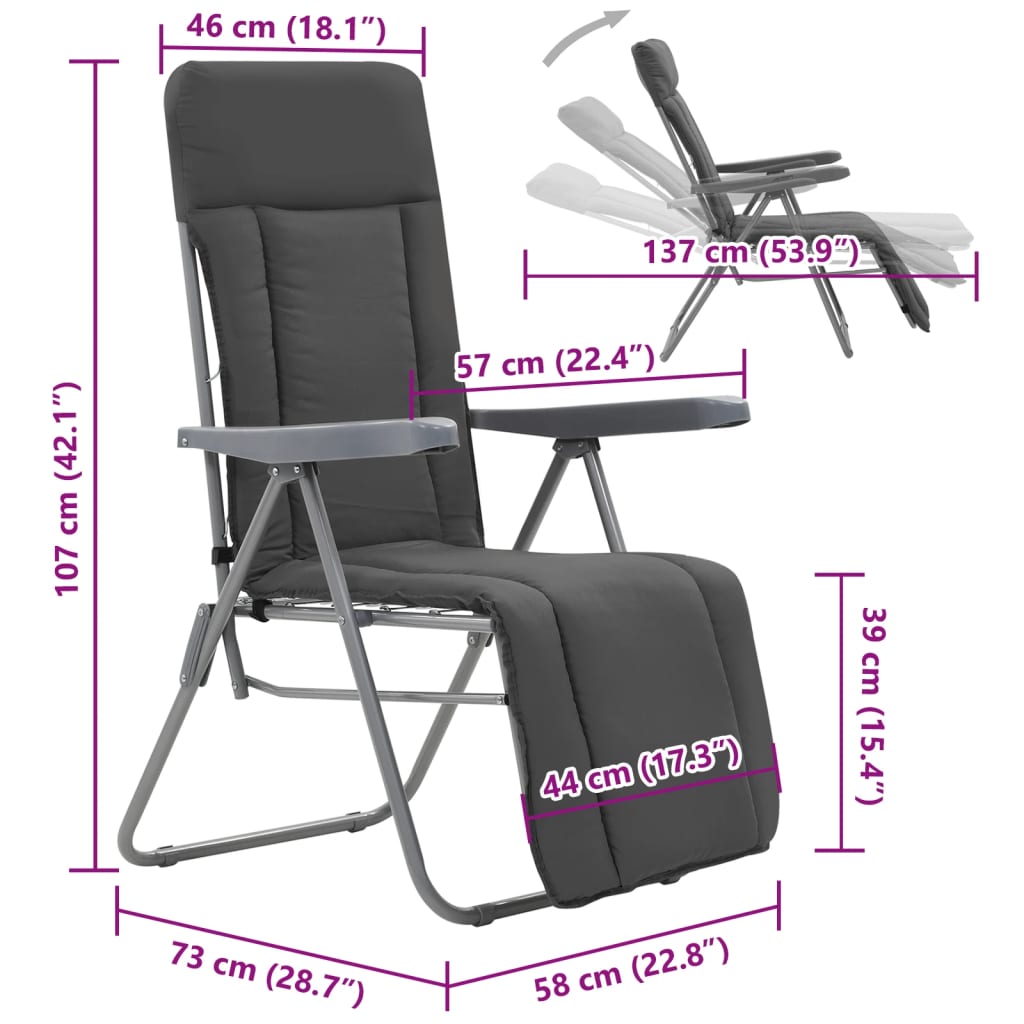 Sedie da Giardino Pieghevoli con Cuscino 2 pz Grigio - homemem39