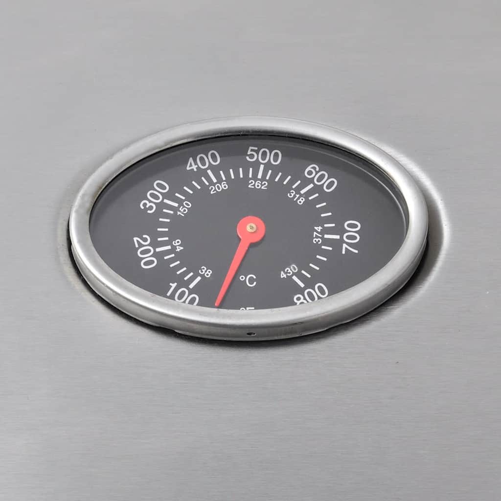 Griglia Barbecue a Gas 4+1 Fornelli Argento - homemem39