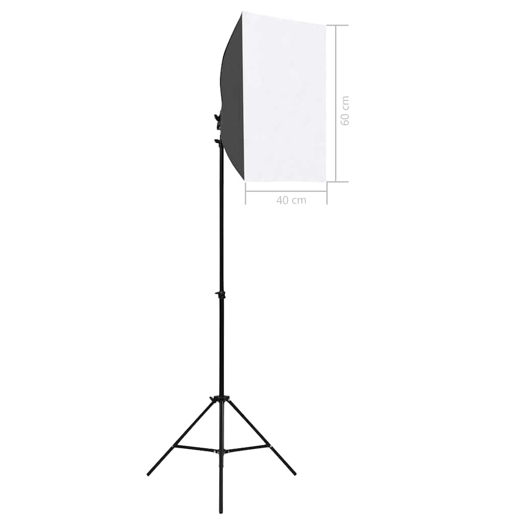 Luci Professionali da Studio 2 pz 40x60 cm in Acciaio Nero - homemem39