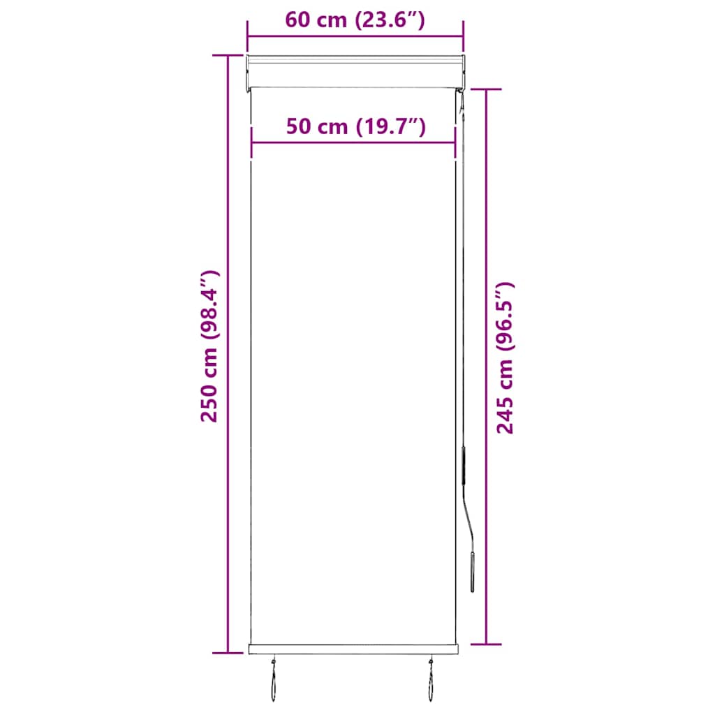 Tenda a Rullo per Esterni 60x250 cm Arancione e Marrone