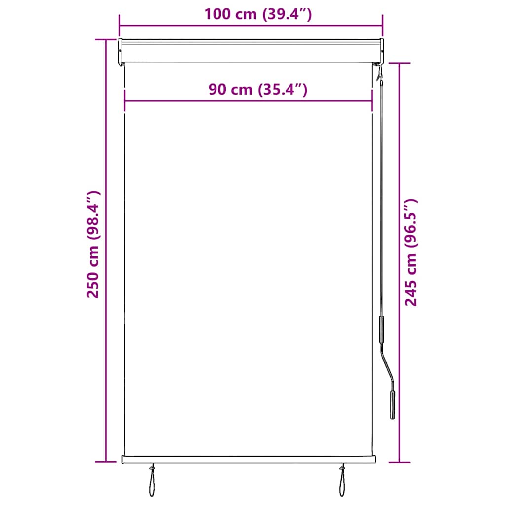 Tenda a Rullo per Esterni 100x250 cm Bianca e Arancione