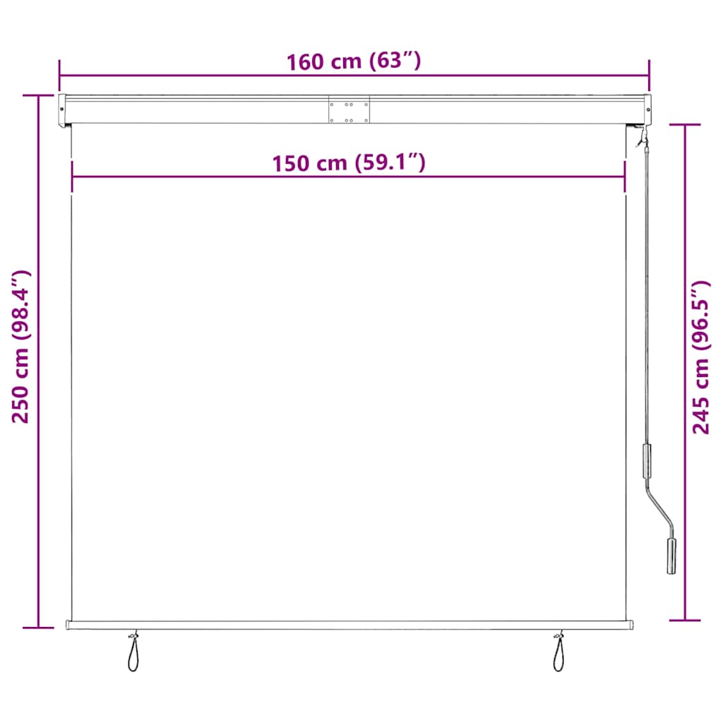 Tenda a Rullo per Esterni 160x250 cm Crema