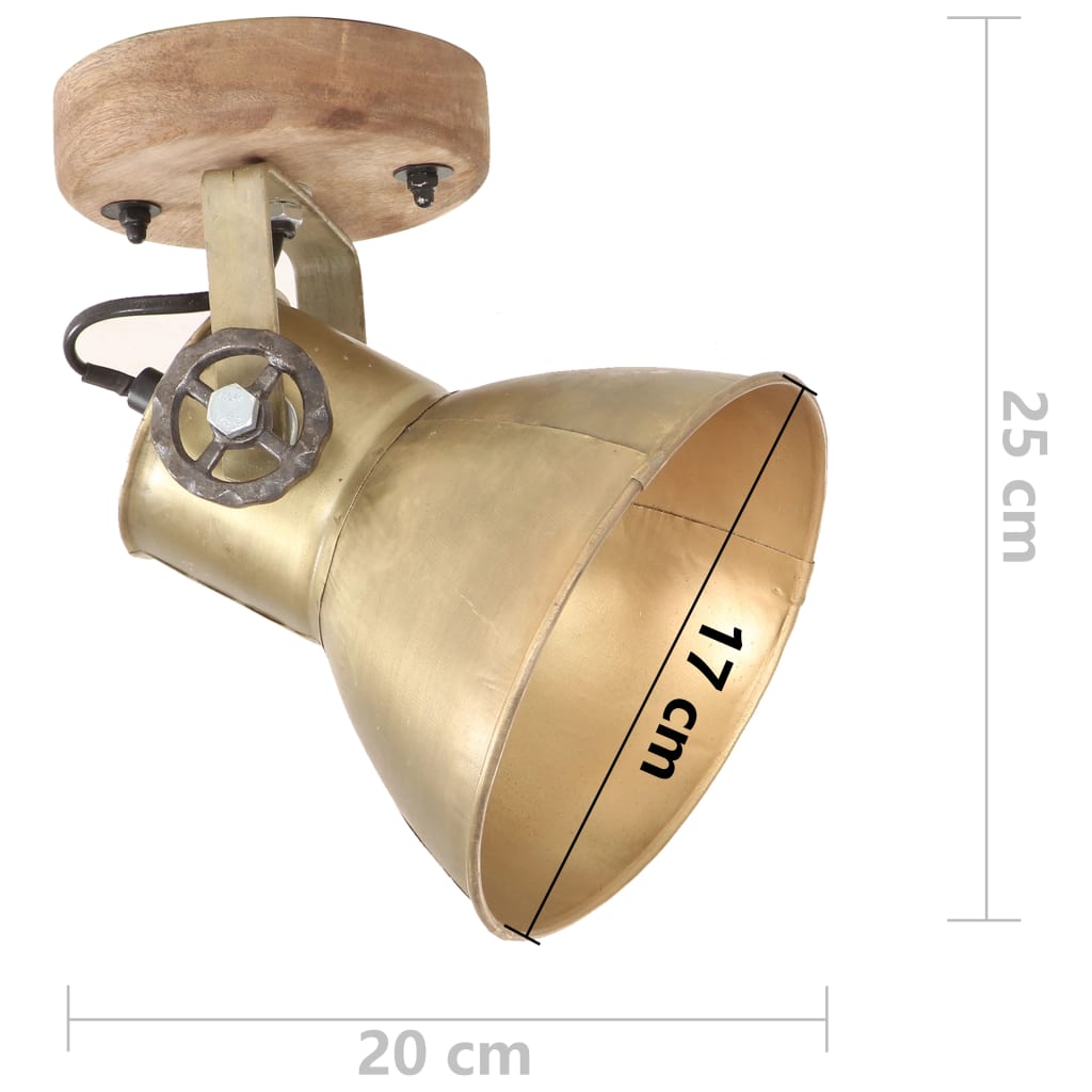 Lampade da Parete/Soffitto 2 pz Industriale Ottone 20x25 cm E27 | homemem39