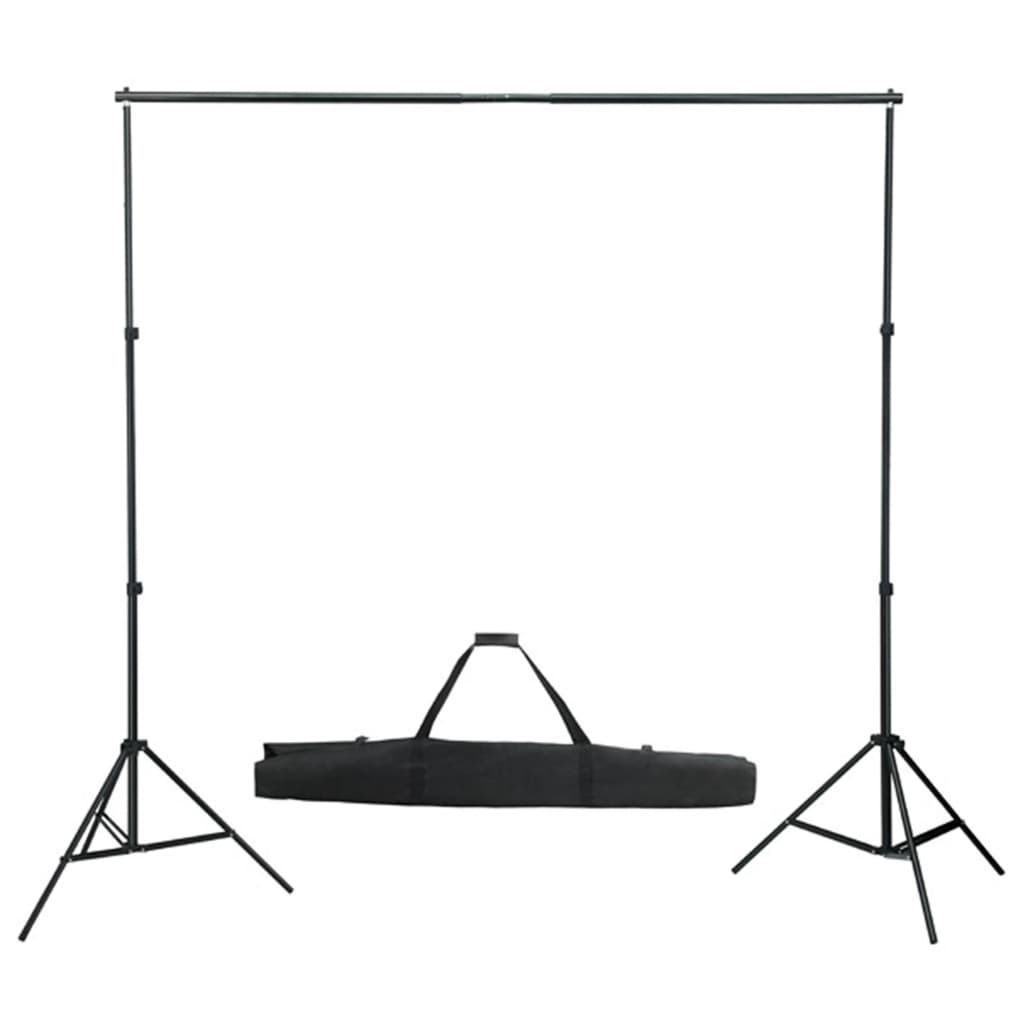 Kit per Studio Fotografico con Set di Luci e Fondale - homemem39