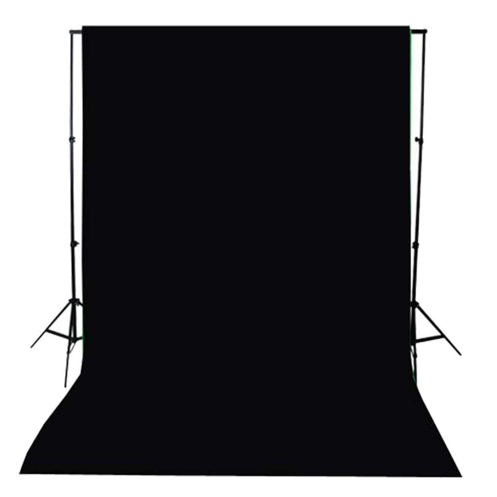 Kit per Studio Fotografico con Set di Luci e Fondale - homemem39