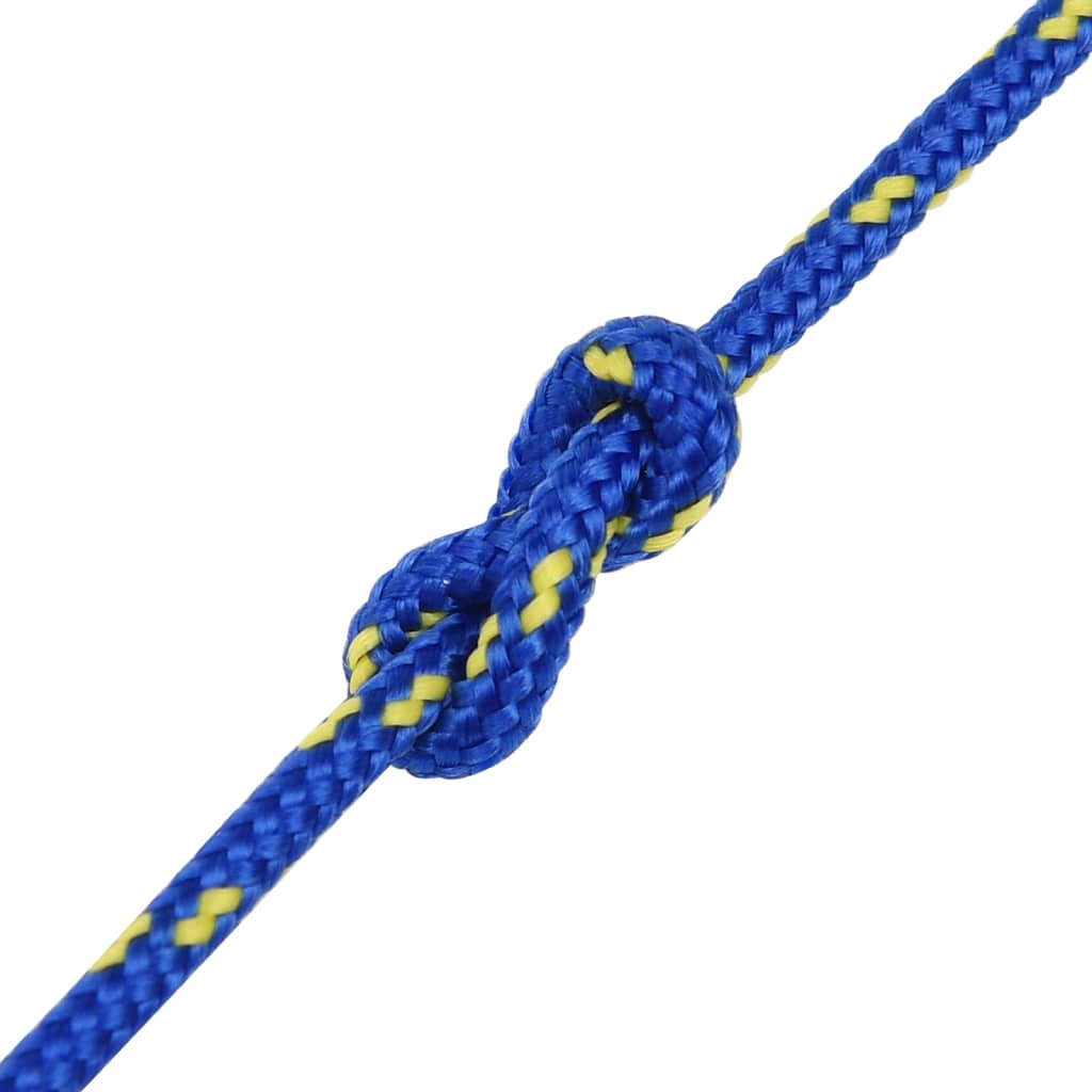 Corda per barca Blu 3 mm 50 m in Polipropilene - homemem39