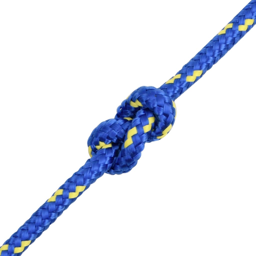 Corda per barca Blu 10 mm 500 m in Polipropilene - homemem39