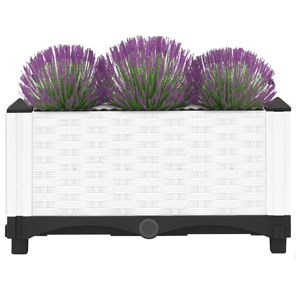 Fioriera Rialzata 40x40x23 cm in Polipropilene - homemem39