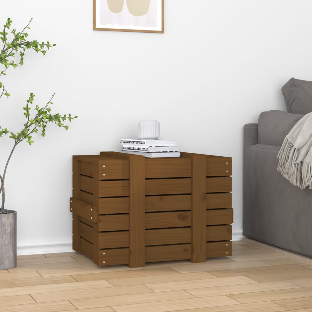 Contenitore Portaoggetti Ambra 58x40,5x42cm Legno Massello Pino - homemem39