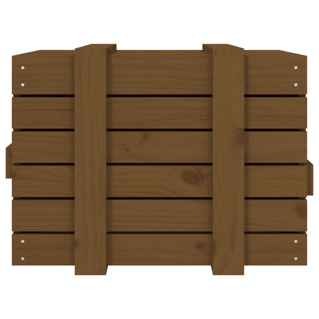 Contenitore Portaoggetti Ambra 58x40,5x42cm Legno Massello Pino - homemem39
