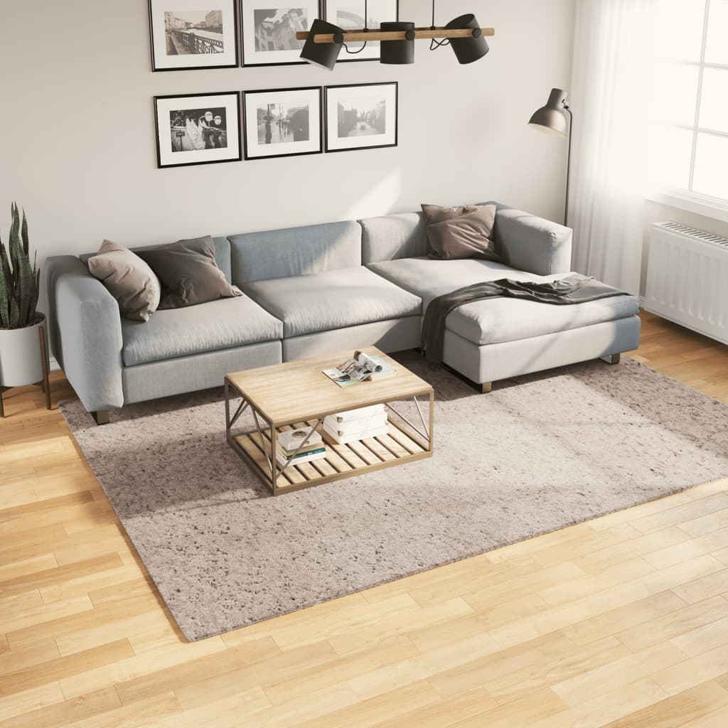Tappeto Shaggy PAMPLONA a Pelo Lungo Moderno Beige 200x280 cm - homemem39