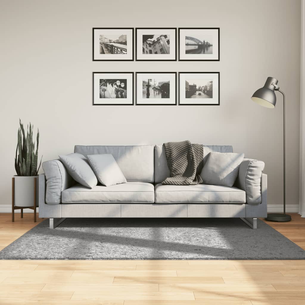 Tappeto Shaggy PAMPLONA a Pelo Lungo Moderno Grigio 120x170 cm - homemem39