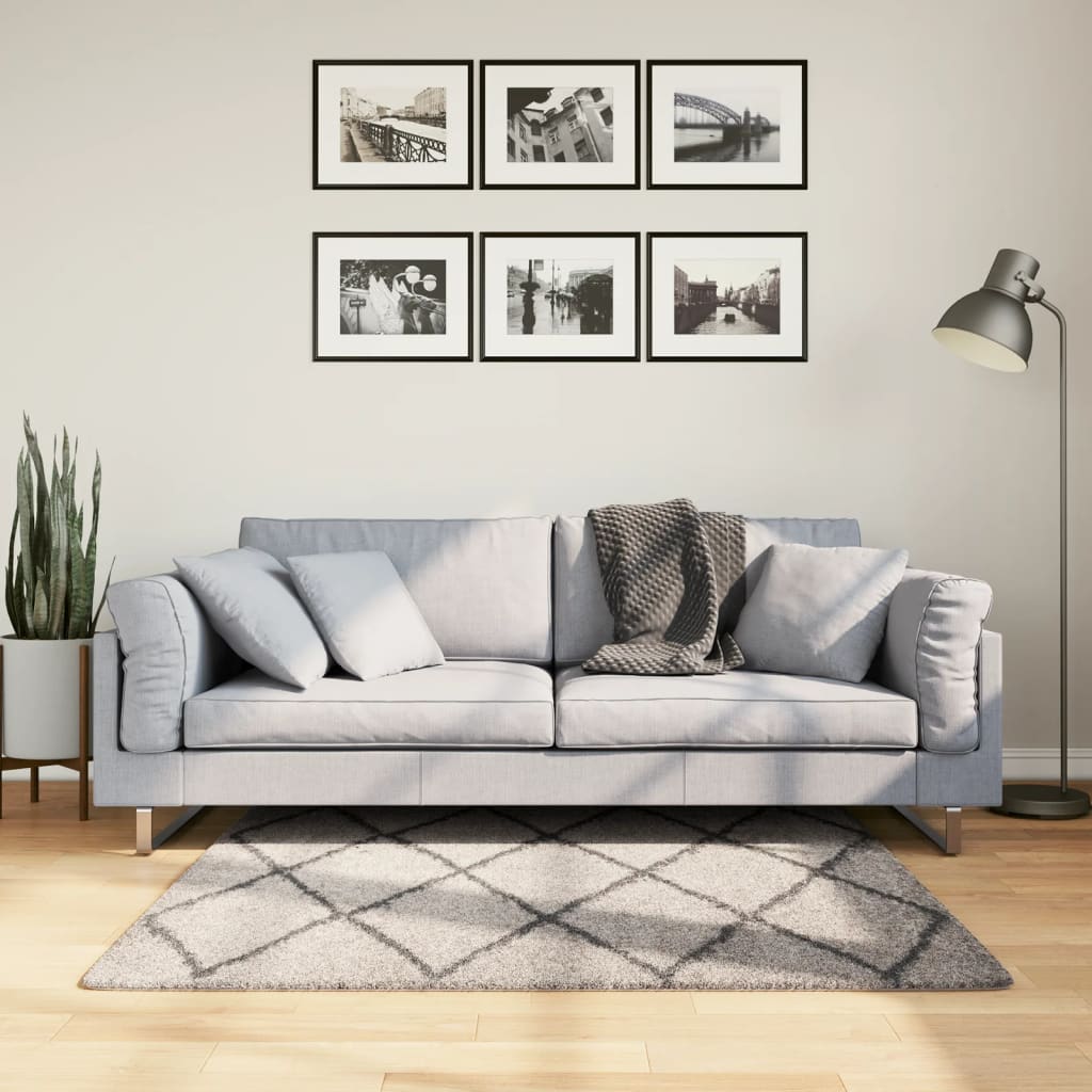 Tappeto Shaggy PAMPLONA Pelo Lungo Beige e Antracite 120x120cm - homemem39