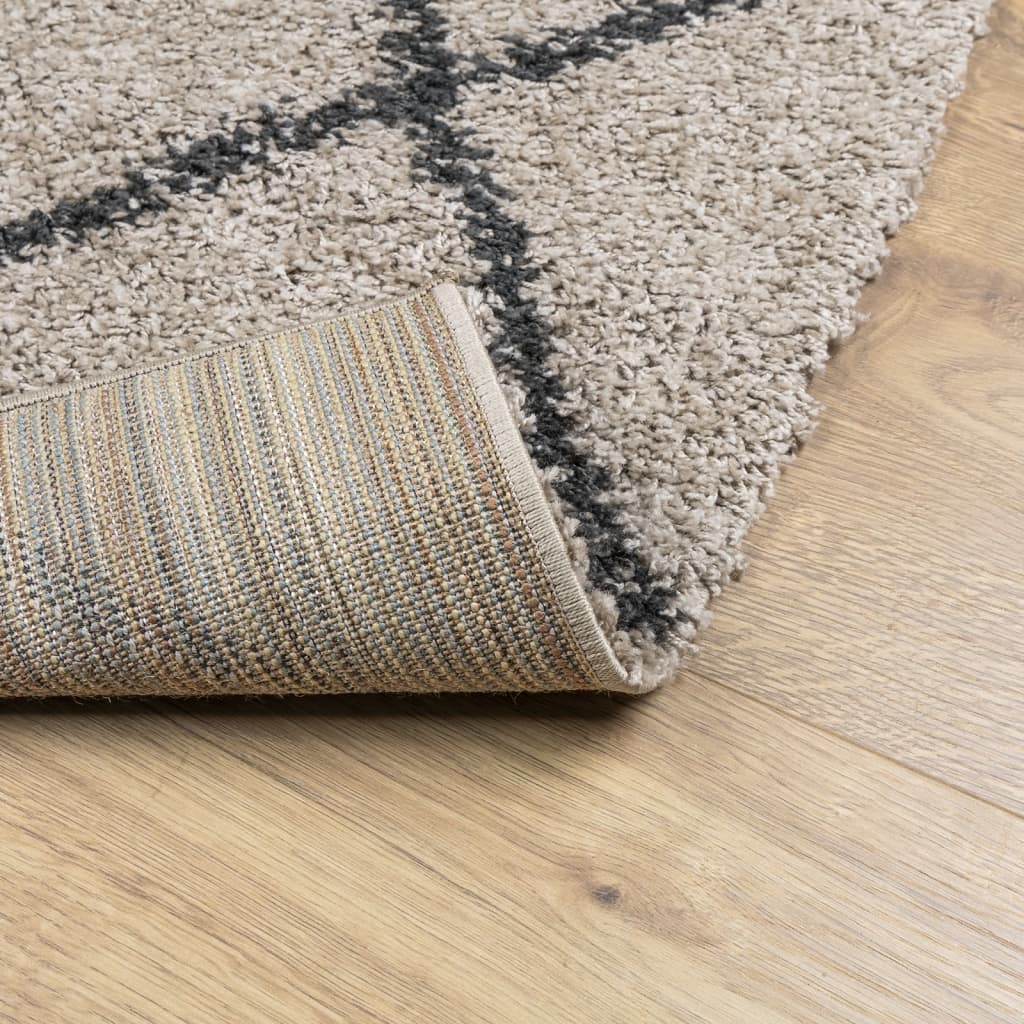 Tappeto Shaggy PAMPLONA Pelo Lungo Beige e Antracite 160x230 cm - homemem39