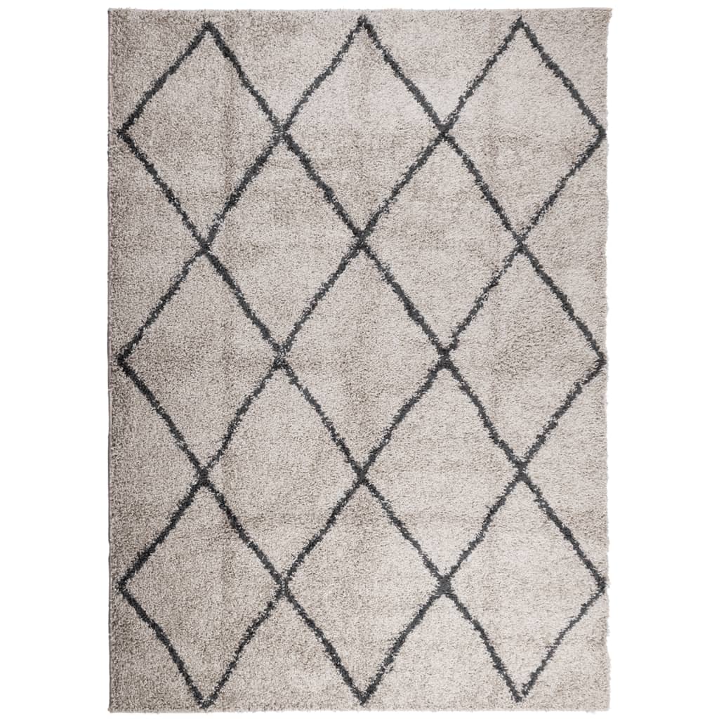 Tappeto Shaggy PAMPLONA Pelo Lungo Beige e Antracite 200x280 cm - homemem39