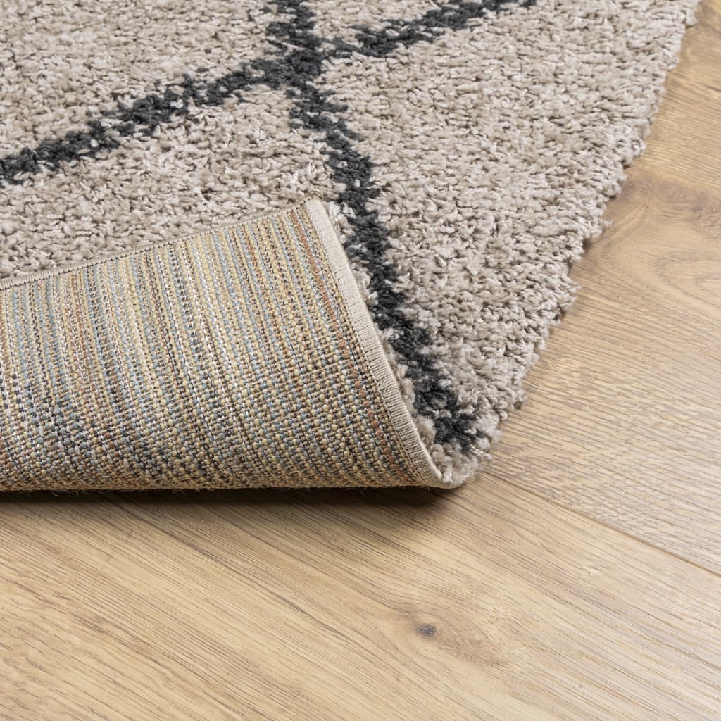 Tappeto Shaggy PAMPLONA Pelo Lungo Beige e Antracite 200x280 cm - homemem39