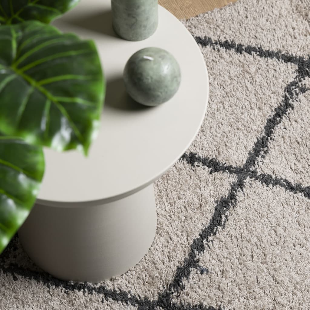 Tappeto Shaggy PAMPLONA Pelo Lungo Beige e Antracite 200x280 cm - homemem39