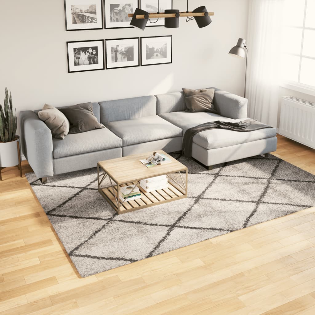 Tappeto Shaggy PAMPLONA Pelo Lungo Beige e Antracite 200x280 cm - homemem39
