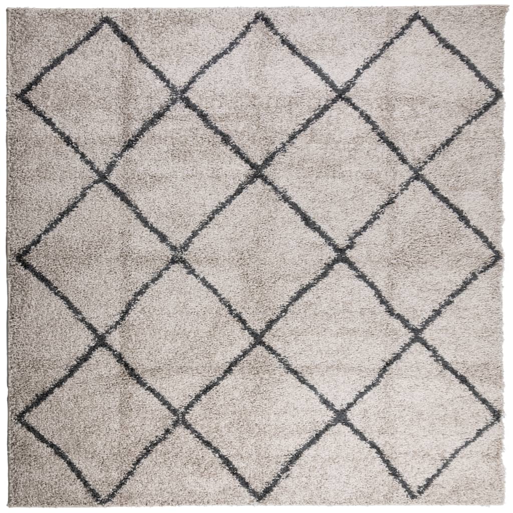 Tappeto Shaggy PAMPLONA Pelo Lungo Beige e Antracite 240x240 cm - homemem39