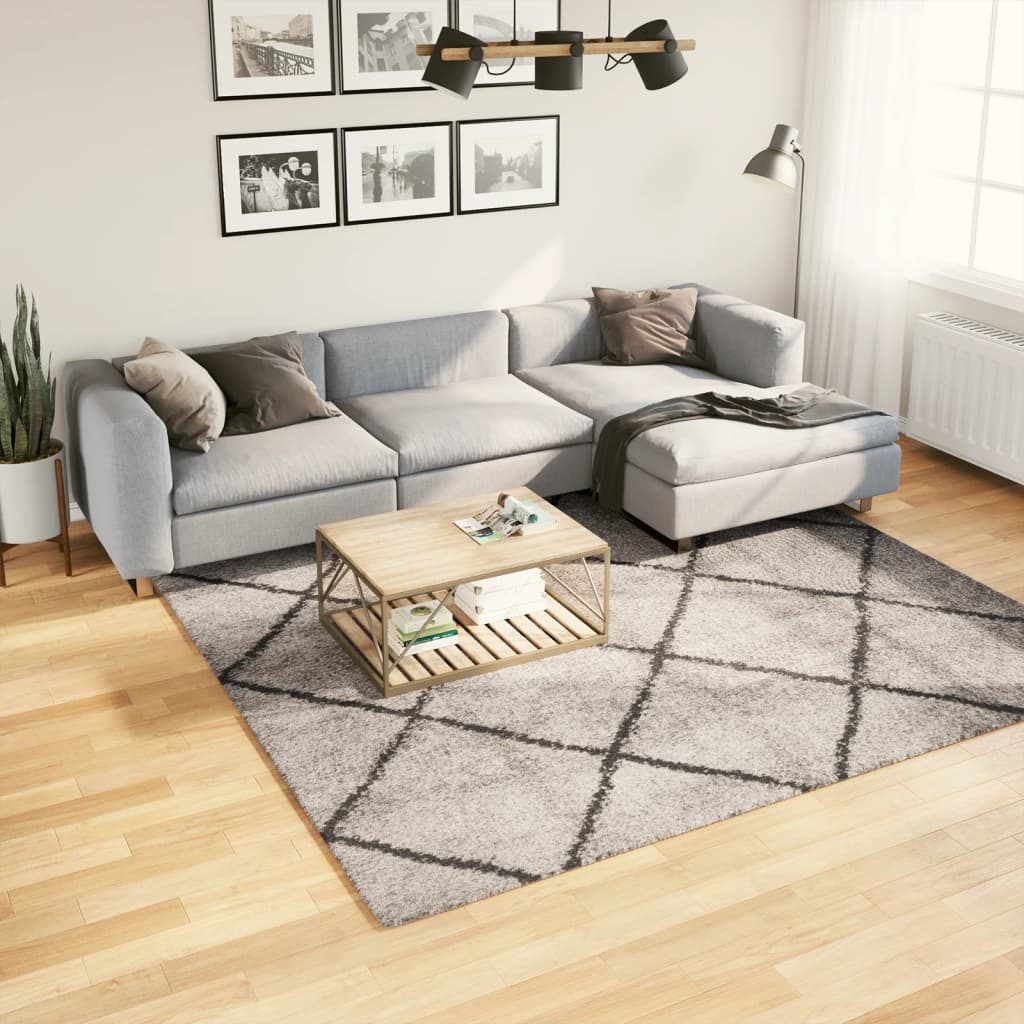 Tappeto Shaggy PAMPLONA Pelo Lungo Beige e Antracite 240x240 cm - homemem39