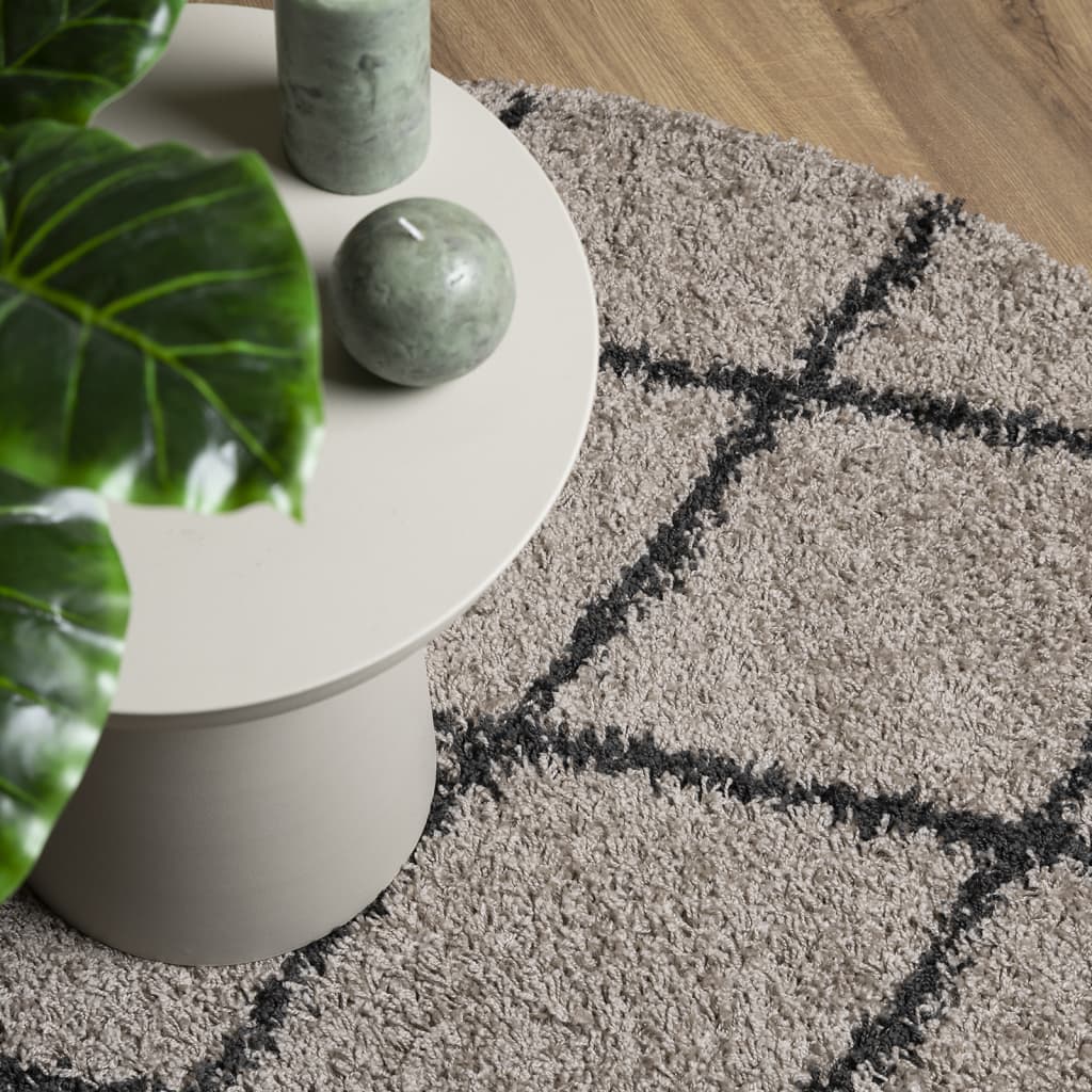 Tappeto Shaggy PAMPLONA a Pelo Lungo Beige e Antracite Ø 120 cm - homemem39