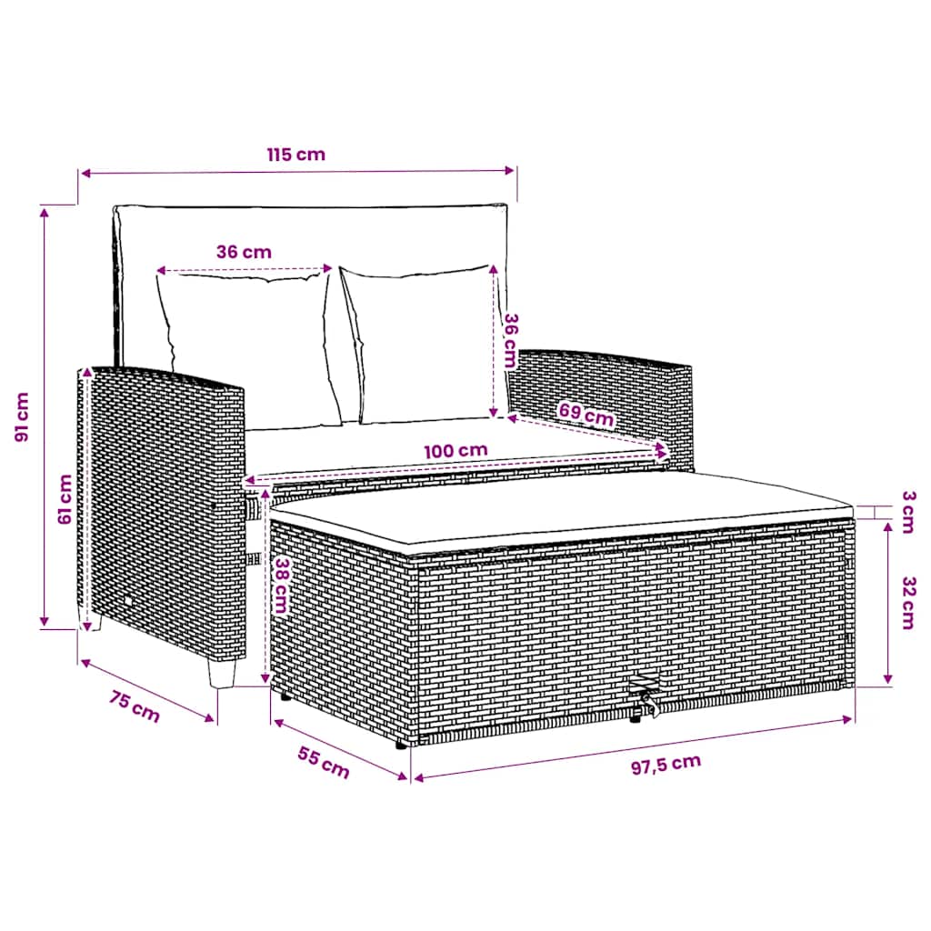 Divano Giardino con Cuscini 2 Posti Grigio in Polyrattan Acacia