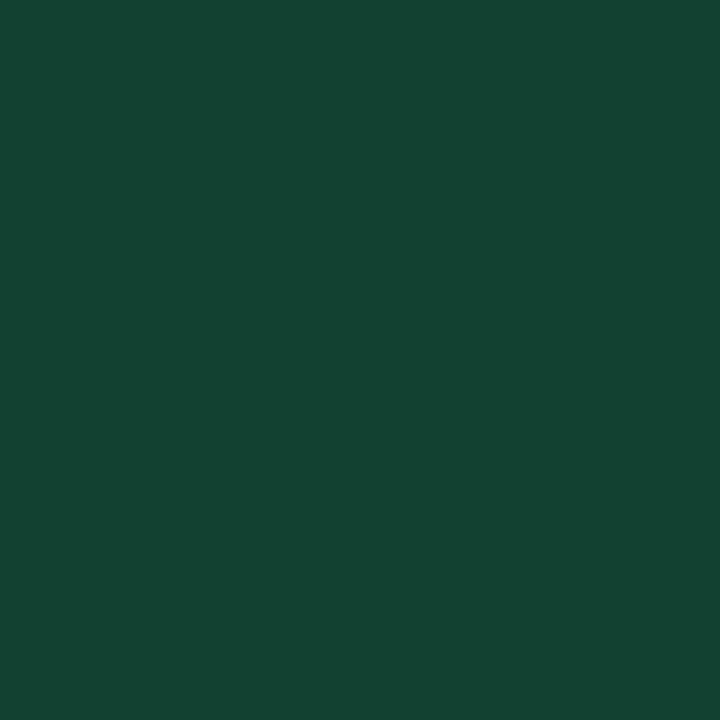 Copribidone con Ruote Bidone Singolo Verde 72x81x115cm Acciaio | homemem39