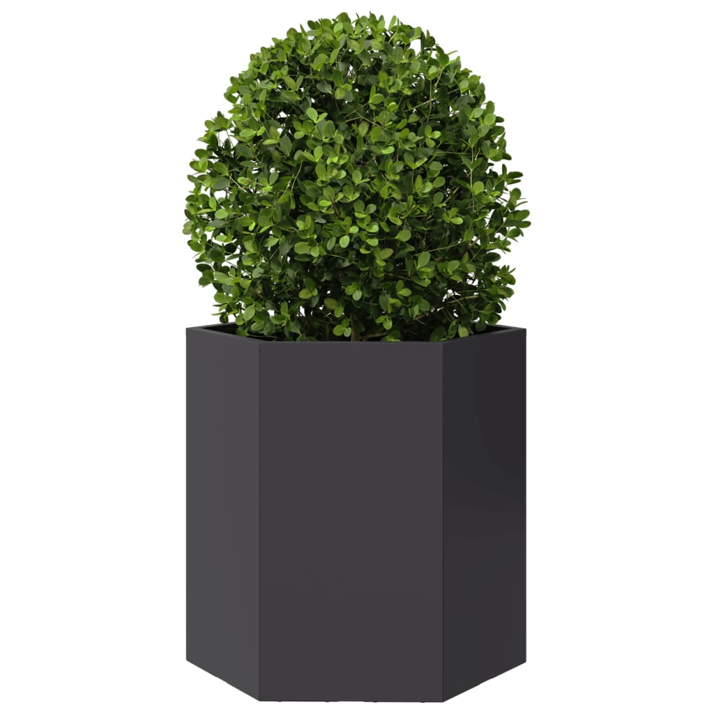 Fioriere da Giardino 2 pz Esagono Nero 46x40x45 cm Acciaio
