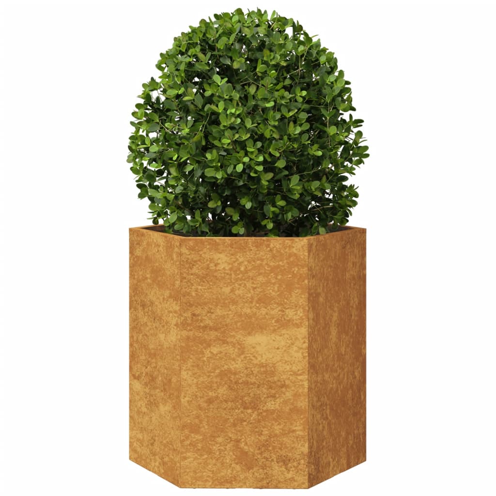 Fioriere da Giardino 2 pz Esagono 46x40x45 cm in acciaio corten