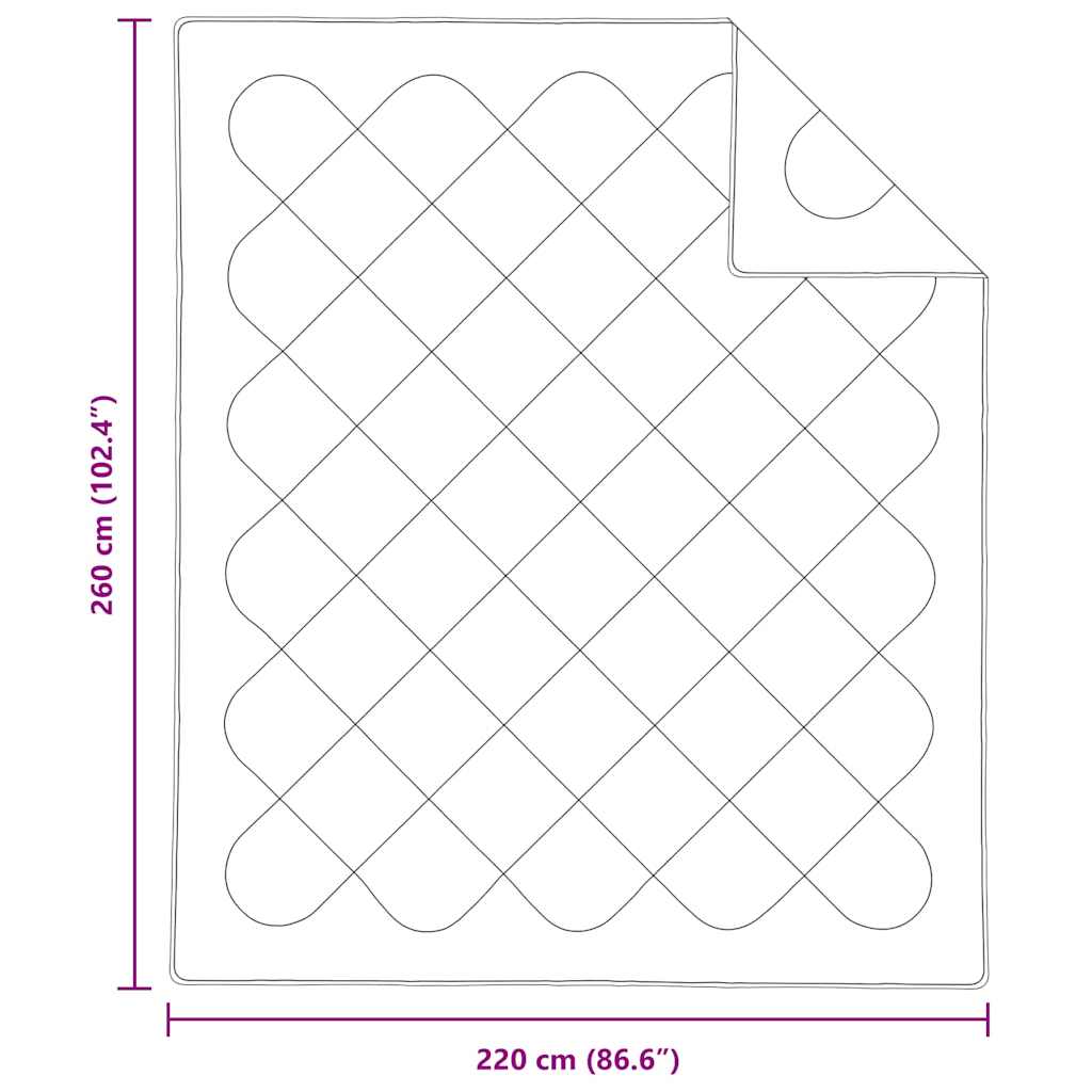 Trapunte & Duvet Bianco 260 x 220 cm Microfibra