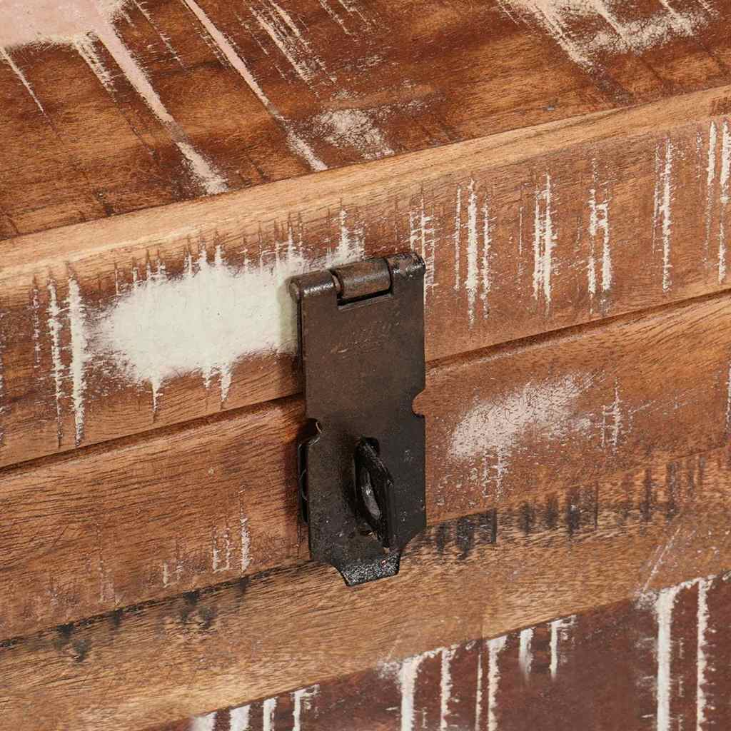 Scatola di Stoccaggio con porta Marrone Legno di mango massello | homemem39