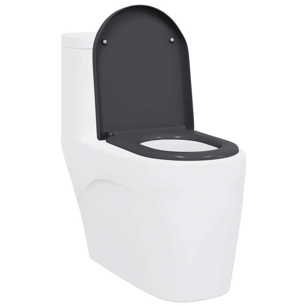 Sedile del WC con rilascio rapido Antracite 46.2 x 36 x 4.3 cm