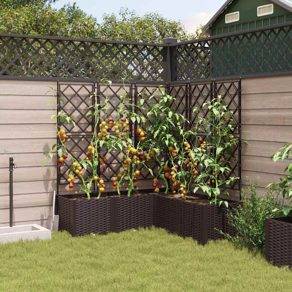 Vaso da Giardino con Trellis 5 pcs Marrone 120 x 120 x 143 cm