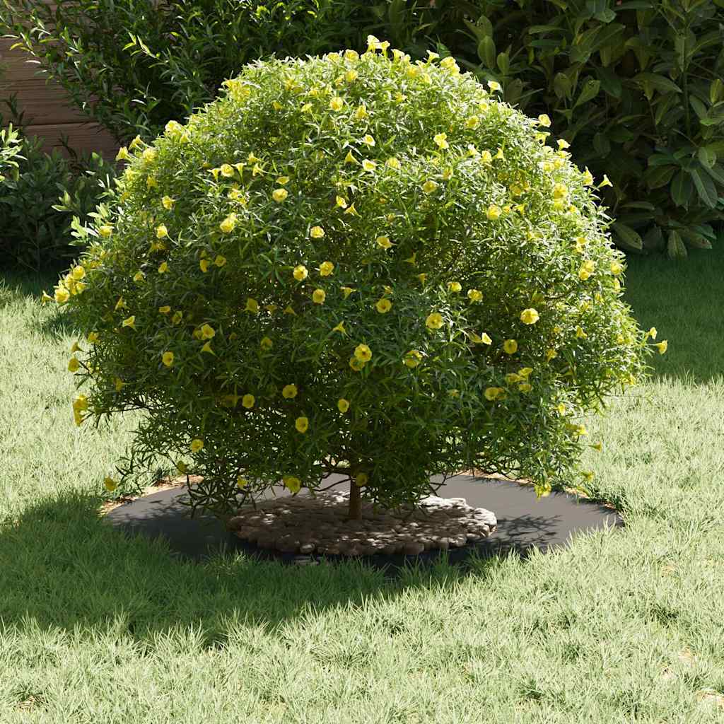 Anello piatto per albero Nero Ø30 / 60 cm Acciaio