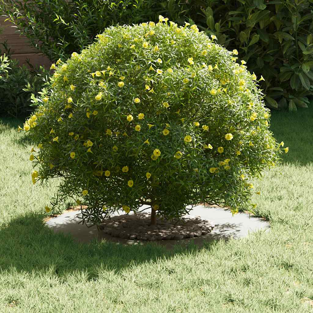 Anello piatto per albero Bianco Ø30 / 60 cm Acciaio
