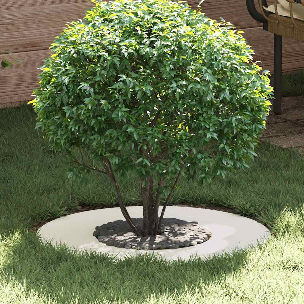Anelli di Albero Piatto 5 pcs Bianco Ø30 / 60 cm Acciaio