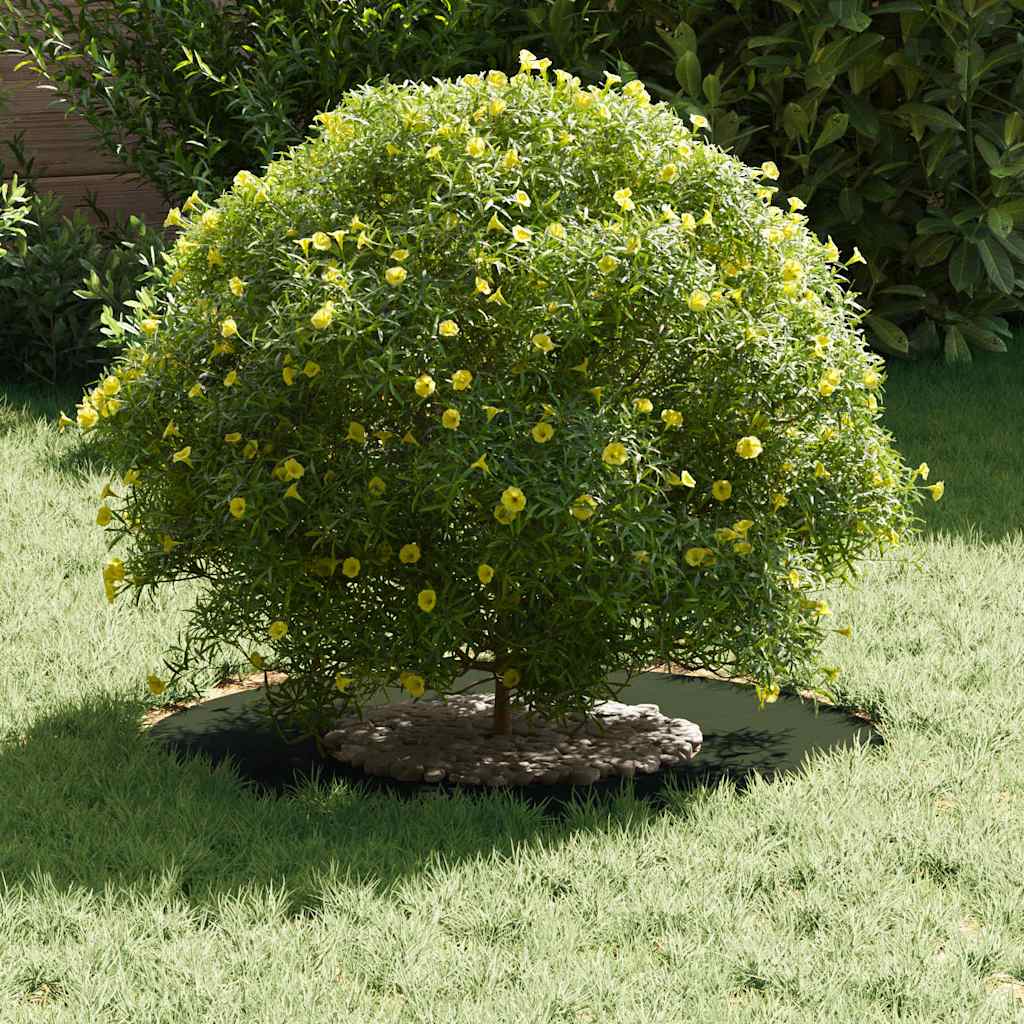 Anello piatto per albero Oliver verde Ø30 / 60 cm Acciaio