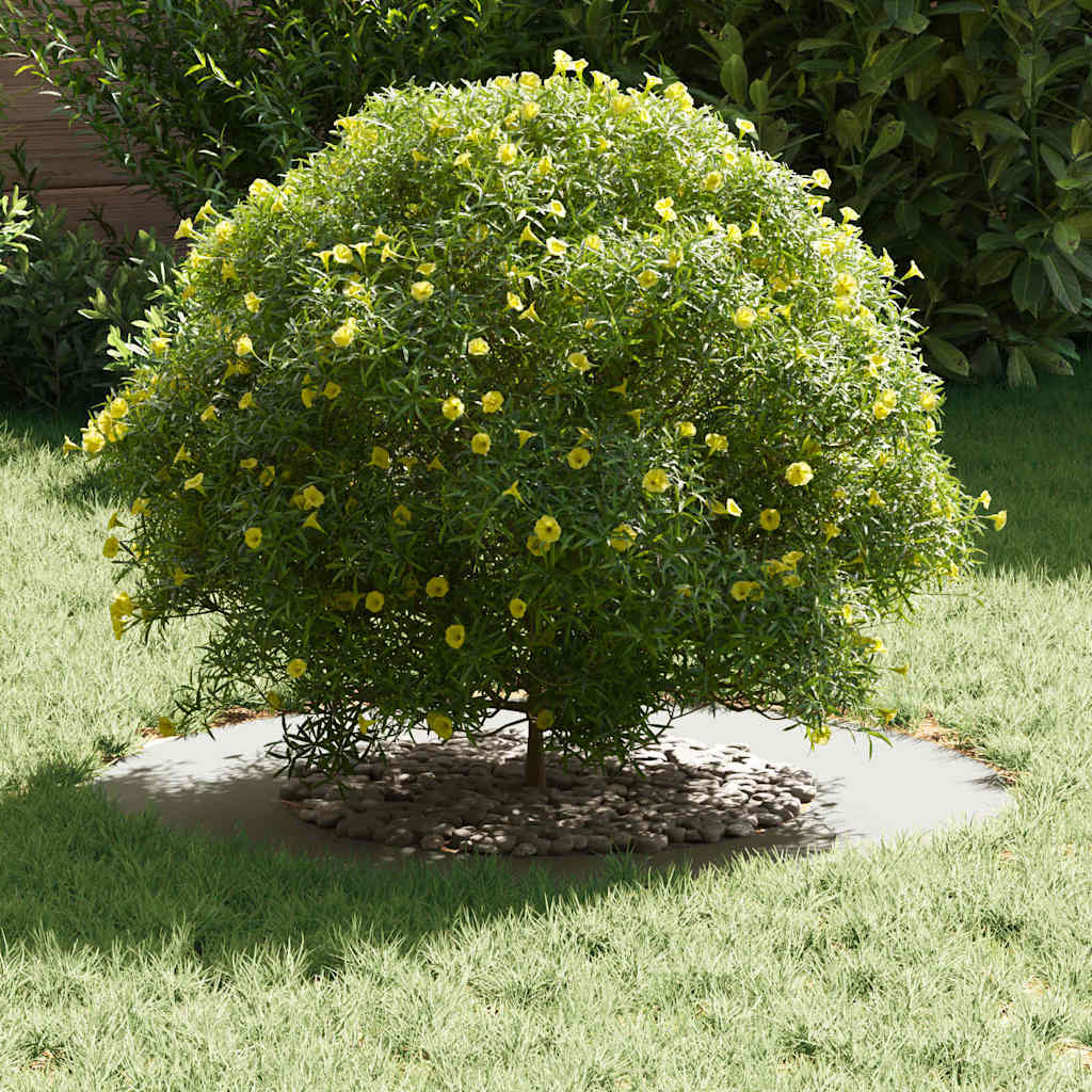 Anello piatto per albero Bianco Ø40 / 70 cm Acciaio