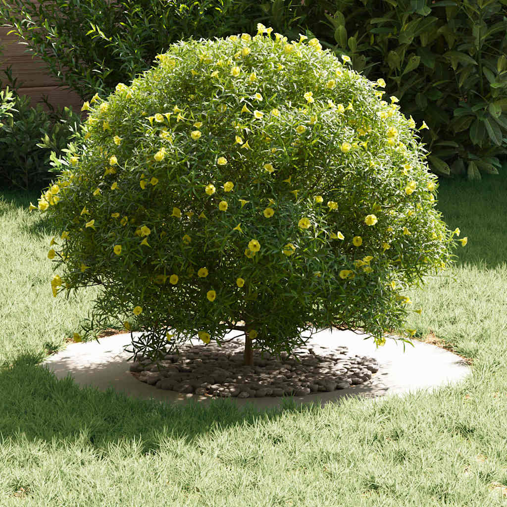 Anelli di Albero Piatto 5 pcs Bianco Ø40 / 70 cm Acciaio