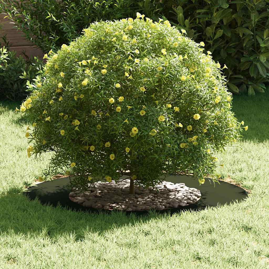 Anelli di Albero Piatto 5 pcs Oliver verde Ø40 / 70 cm Acciaio