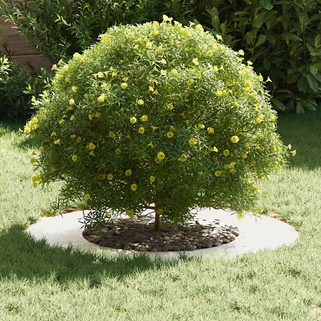 Anelli di Albero Piatto 5 pcs Argento Ø40 / 70 cm