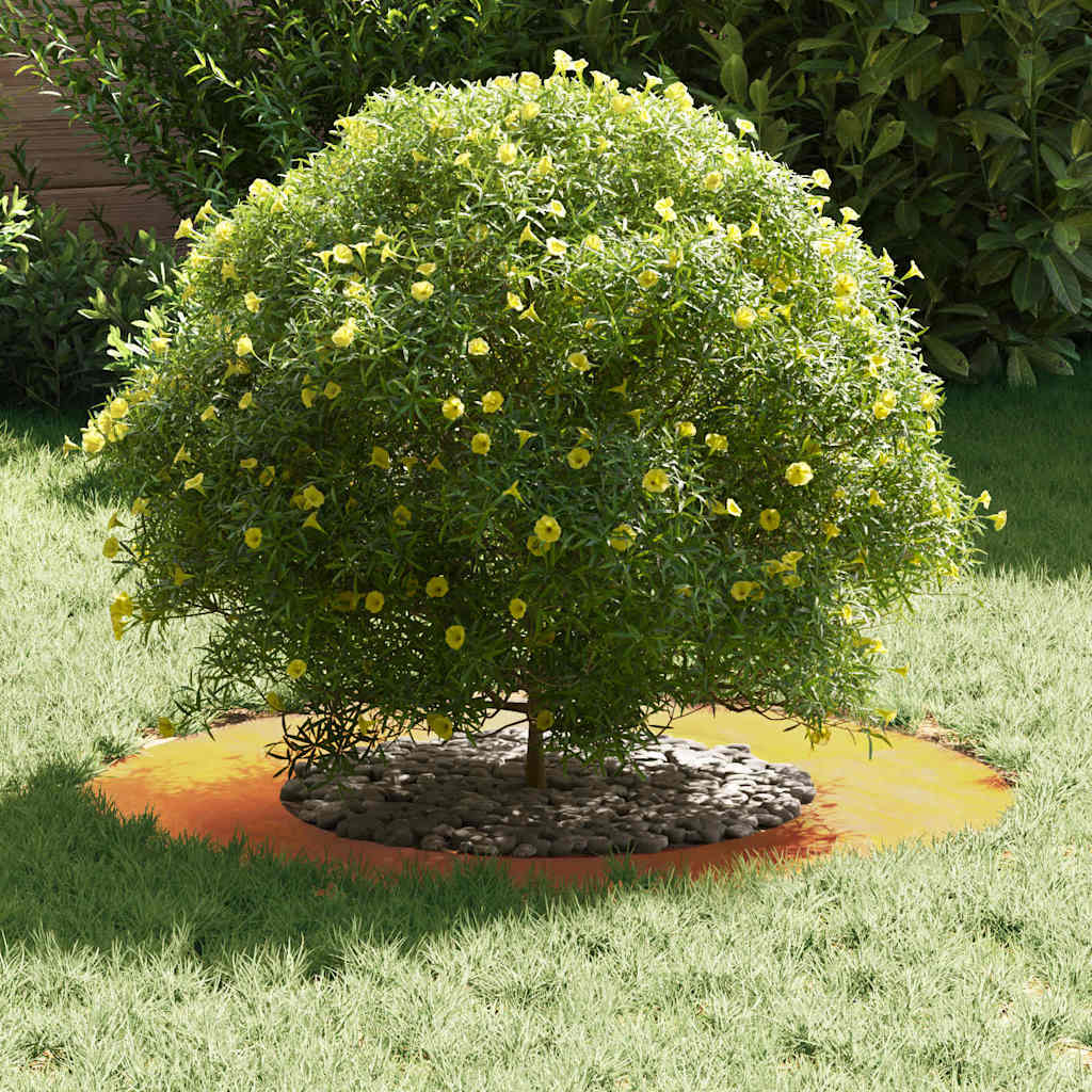 Anelli di Albero Piatto 5 pcs Marrone Ø40 / 70 cm acciaio corten