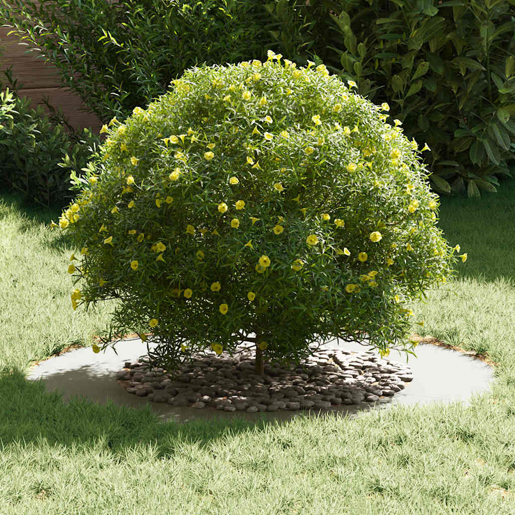 Anello piatto per albero Bianco Ø50 / 80 cm Acciaio