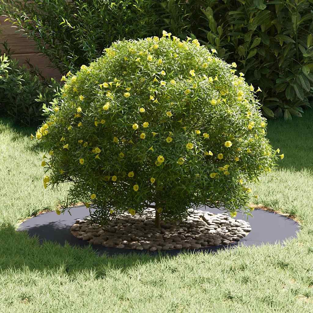Anelli di Albero Piatto 5 pcs Antracite Ø50 / 80 cm Acciaio