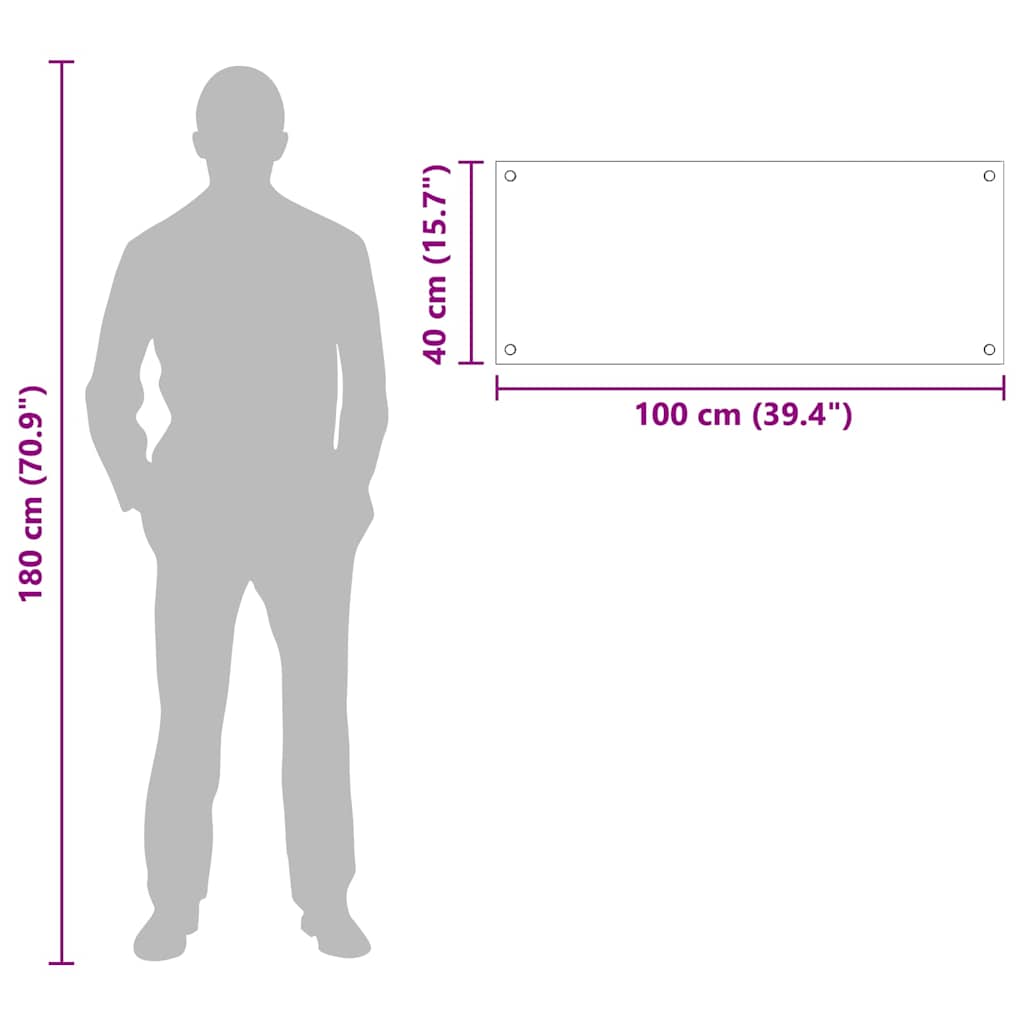 Rivestimento da Cucina Trasparente 100 x 40 cm vetro temperato