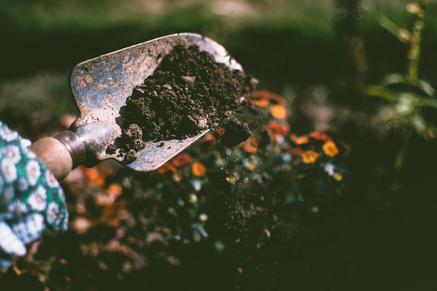 Accessori per il giardinaggio