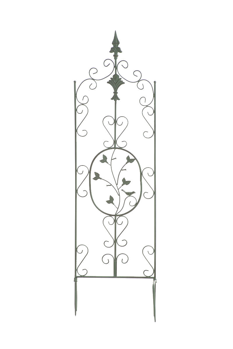 Pflanzen Rankgitter Burgus, 120 x 35 cm | homemem39