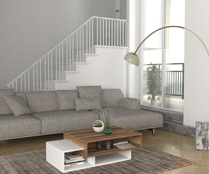 Coffee Table | homemem39