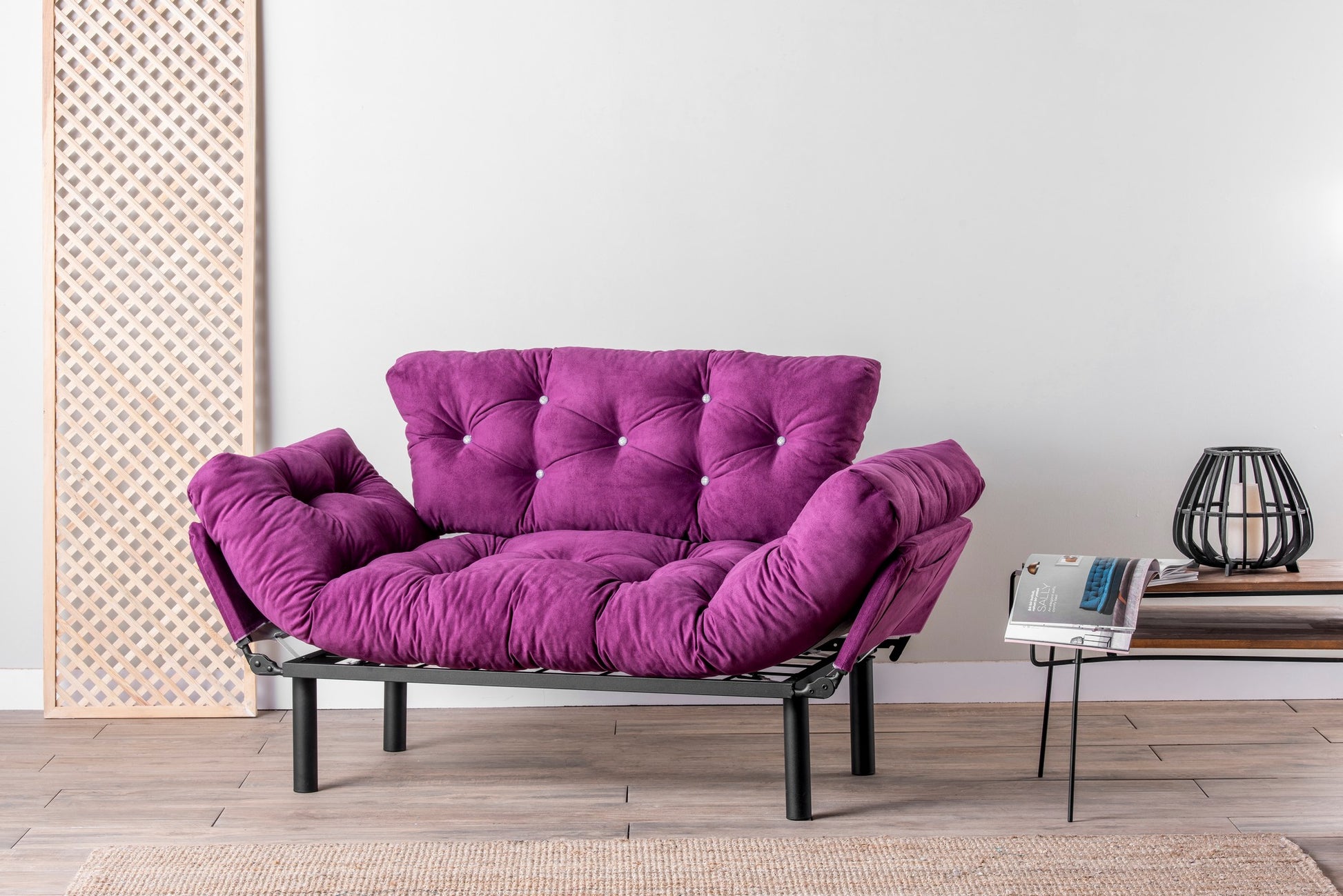 2-Seat Sofa-Bed | homemem39
